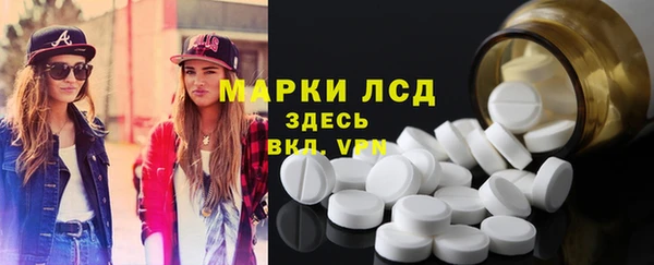 стафф Алзамай
