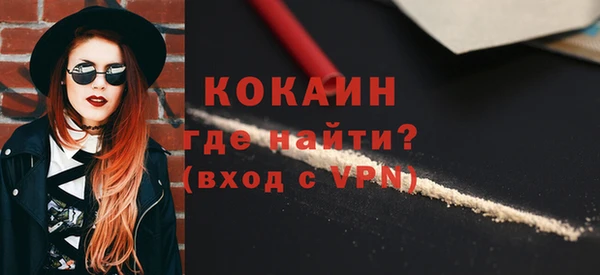стафф Алзамай