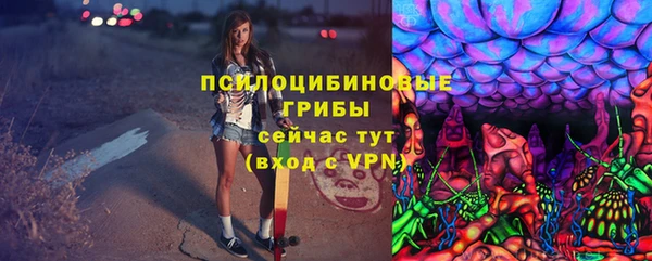 эйфоретик Алексин