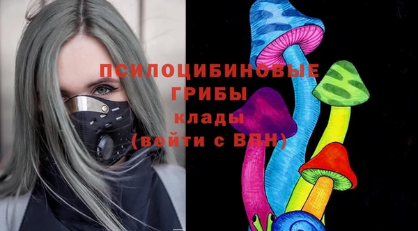стаф Абаза