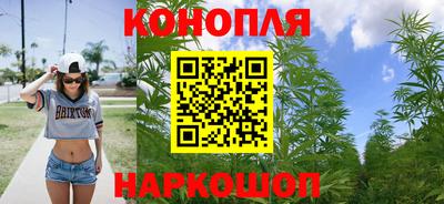 крисы Кунгур