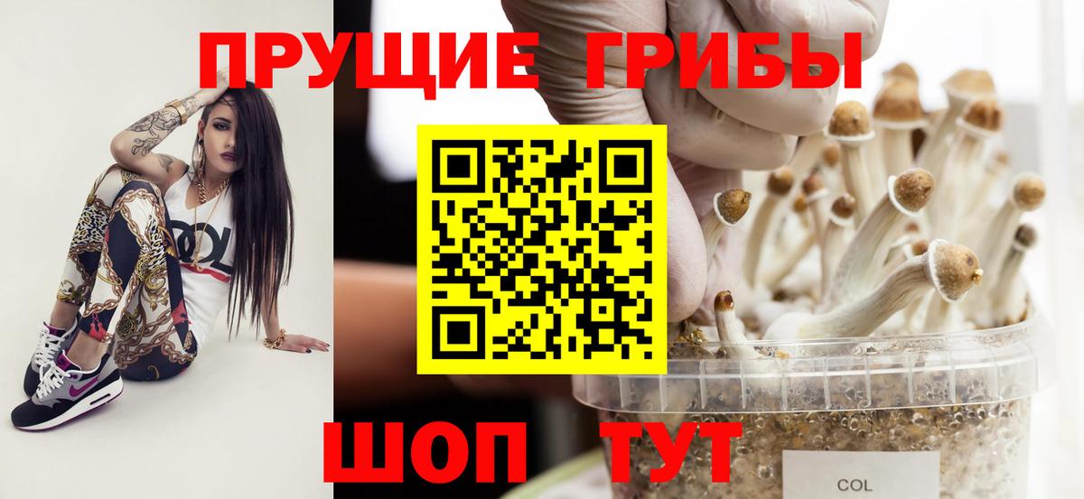 Галлюциногенные грибы мицелий  Вход с VPN  Ейск 