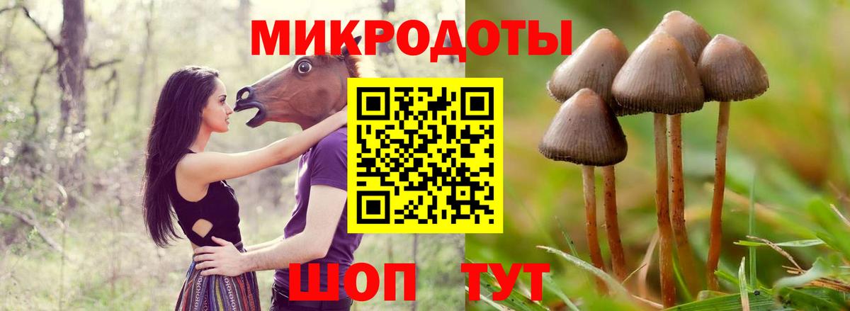 Галлюциногенные грибы Magic Shrooms Ейск